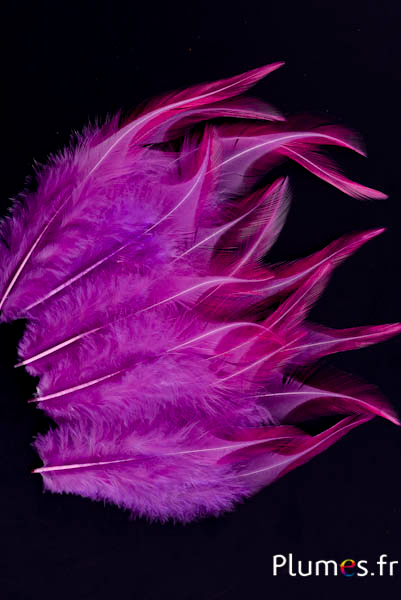 Coq - 8-12 cm - aubergine